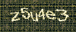 CAPTCHA_picture